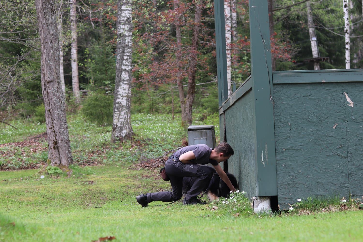 Hundkonsult för samarbeten